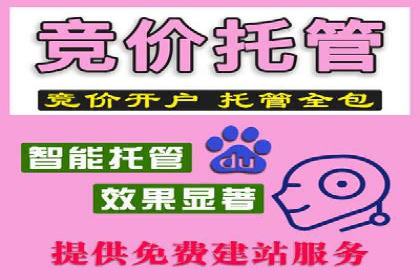 信息流运营策略：某电商平台成功案例解析